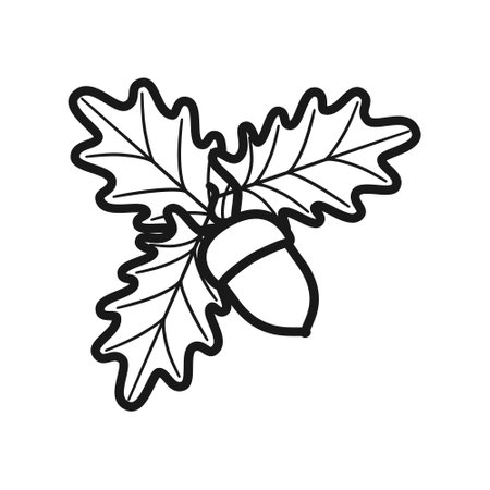 Vector illustration. Black white image of an acorn with leaves on a white background.のイラスト素材