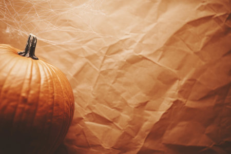 A vibrant pumpkin on a textured, wrinkled background, perfect for autumn decorations and seasonal themes.の素材