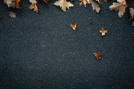 A large bunch of colorful leaves are lying on the ground nowの素材
