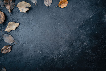 The colorful leaves are currently laying on the ground, creating a striking contrast against a much darker backgroundの素材