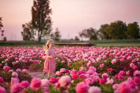 cute little girl running on a peony field against a sunset background. selective focusの写真素材