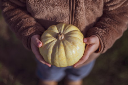 The childs hands are holding a mini pumpkin. close-up.の写真素材