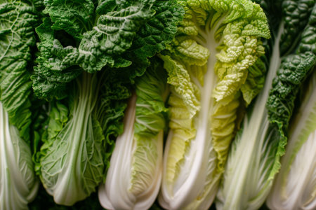Cabbage close-up, market, green textured leaf.の素材