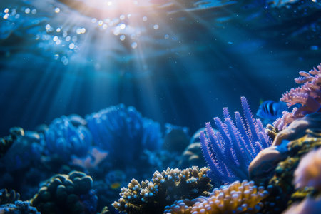 Underwater view with corals and marine organisms, light rays shining through the water.の素材