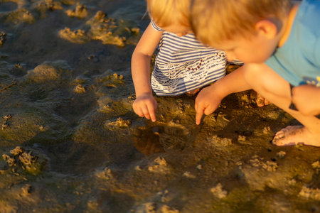 Children playing by a shallow puddle on the shore, exploring natureの写真素材