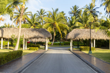 A tranquil pathway leads to the entrance of a tropical resort, framed by palm trees and thatched roof structures. The early morning sun casts a warm light on the scene, creating a peaceful atmosphere.の写真素材