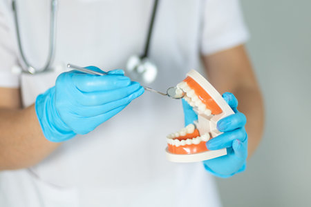 Dentist demonstrating proper dental care techniques using model of teeth and dental instruments in...