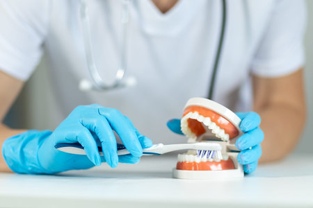 Demonstration of proper teeth brushing technique using dental model in a clinical setting