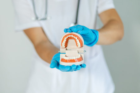 Dental professional demonstrates model of human teeth and gums in modern clinic setting