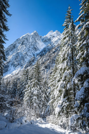 Winter landscape with snow-covered trees and majestic mountains under a clear blue skyの素材