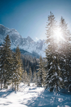 Snow-covered trees under bright blue sky with sun shining in mountain landscape during winterの素材