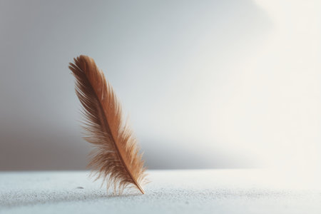 Feather stands upright on a flat surface with soft lighting creating a calm atmosphereの素材