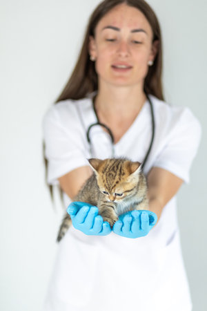 Veterinarian holding an adorable kitten with gentle care in a clinic setting during the dayの写真素材