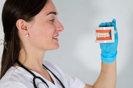 Dentist examines dental model while discussing oral health with patient in clinic during daytime