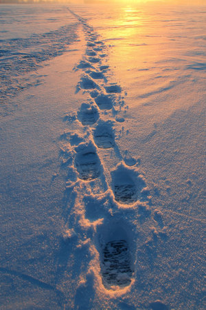 Footprints lead through fresh snow at sunset revealing tranquil winter sceneの素材