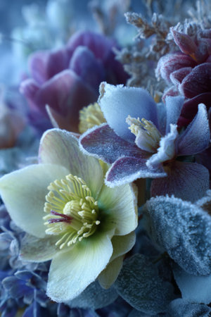 Intricate frost-covered flowers in a serene winter ambiance showcasing natures delicate beautyの素材
