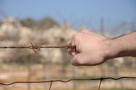 Rusty barbed wire in a manの写真素材