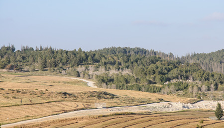 Mountain summer landscape with blue skyの写真素材