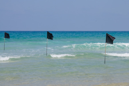 Black warning flags in shallow waterの写真素材