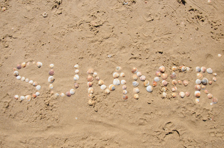 Word Summer shell written on beach sand. horizontal shotの写真素材
