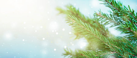 spruce branches in the forest close upの写真素材
