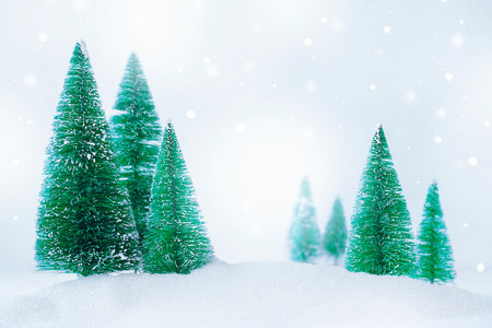christmas trees in winter forestの写真素材