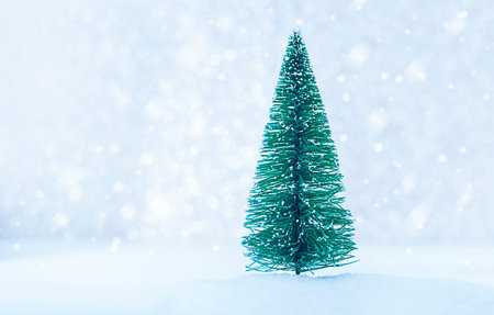 one spruce in the snowの写真素材