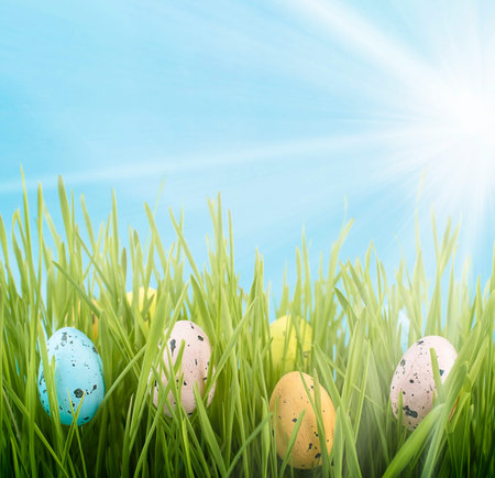 easter eggs on the lawn on a sunny day