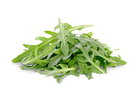 arugula isolated on white backgroundの写真素材