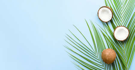 palm leaves and coconuts on a light blue background. summer backgroundの写真素材