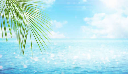 palm leaves on the background of the sea. summer backgroundの写真素材