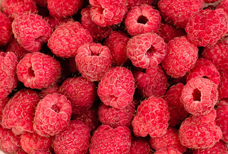 background of ripe raspberries close-up