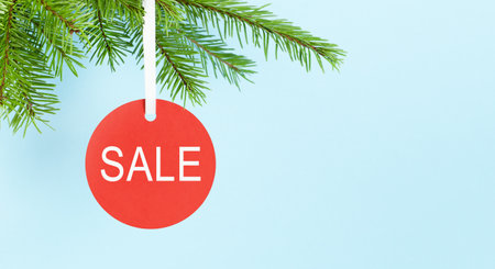 red round SALE tag hanging on a spruce branch on a light blue backgroundの写真素材