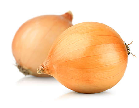 two yellow onions on white isolated backgroundの写真素材