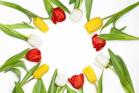 tulips laid out in a circle shape with copy spaceの写真素材