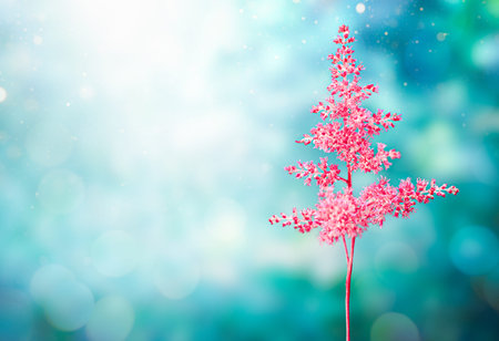 abstract background with pink astilba flowerの写真素材