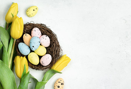 Easter eggs in a nest and yellow tulips on a light concrete background