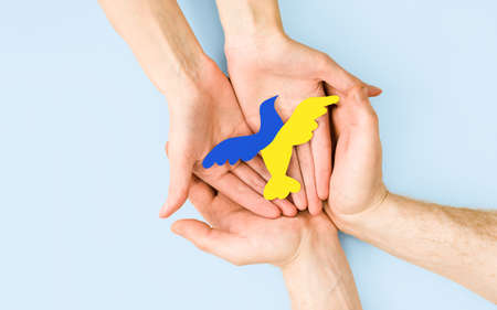 female and male hands hold a symbol of peace painted in the colors of the Ukrainian flagの写真素材
