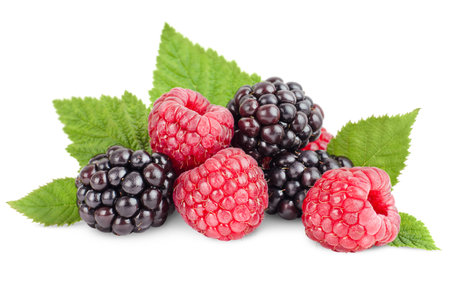 blackberries and raspberries with leaves on a white isolated background