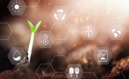 seedling growing on the background of soil with various plant care iconsの写真素材