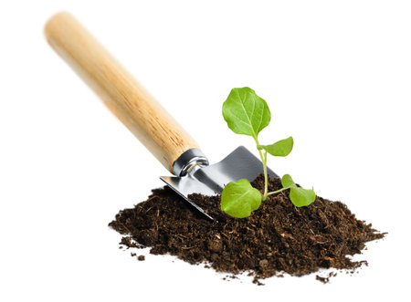 garden shovel with a pile of earth and a young sprout on a white isolated backgroundの写真素材
