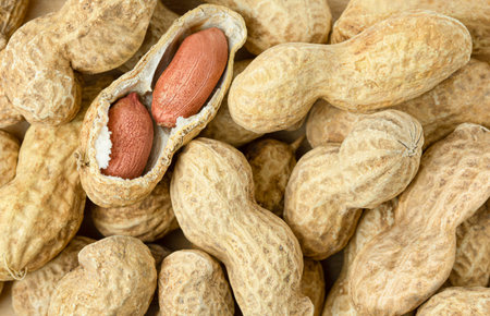 background of peanuts in the shell with one opened nut, top view