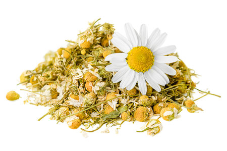 dry chamomile heap and one fresh chamomile flower on white isolated background, front viewの写真素材