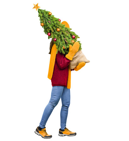 woman carries a potted Christmas tree on her shoulder, on an isolated white backgroundの写真素材