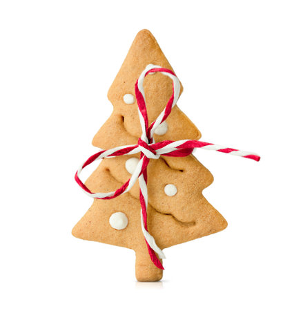 one gingerbread cookie in the shape of a Christmas tree tied with a bow stands on a white isolated backgroundの写真素材