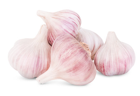 heap of garlic on white isolated backgroundの写真素材
