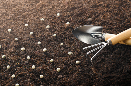 seeds and gardening tools lie on the groundの写真素材