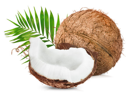 whole coconut and coconut slice with palm leaves on isolated white backgroundの写真素材