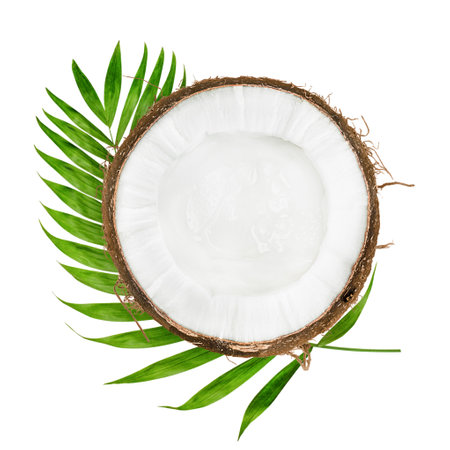 half a coconut and a palm leaf, top view, on a white isolated backgroundの写真素材