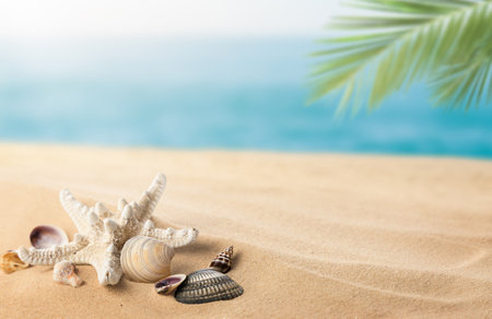 summer background with seashells and starfish in the foreground and the sea in the backgroundの写真素材